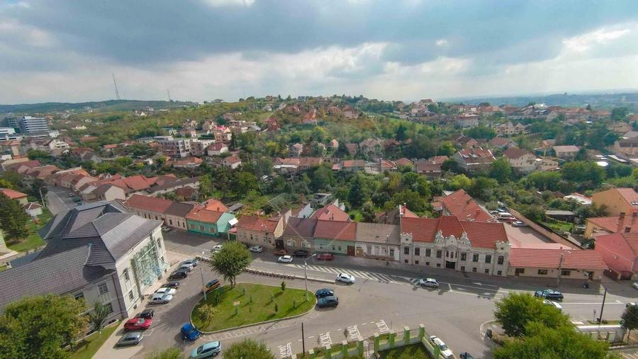 Casa / Vila cu 4 camere de vanzare Ultracentral Str. Louis Pasteur - 30