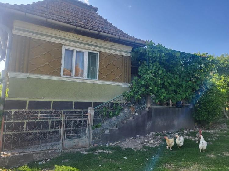 Vanzare casa sat Asinip, comuna Lopadea Noua, jud Alba, la 15km de Aiud - 1