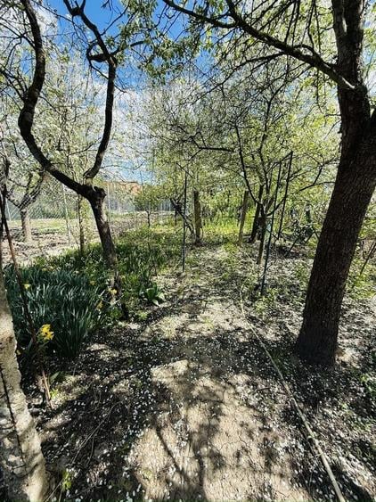 Ciarda Roșie | 2 case în curte | Teren 700 mp | Garaj | Toate utilitățile - 6