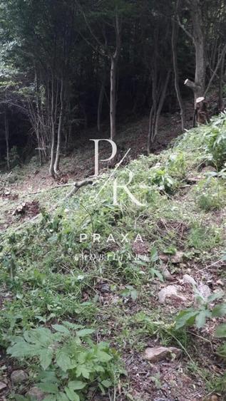 Teren de vanzare 10.000 mp/ parcelabil, cu utiitati, 4 euro/ mp! Maguri Racatau! - 1