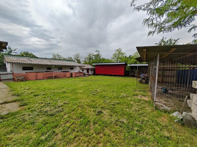 Casa spatioasa cu teren 2000 mp, aproape de oras Cuza Voda, str. Bisericii. SE POATE VINDE SI FRACTIONAT. DETALII IN DESCRIERE. - 5