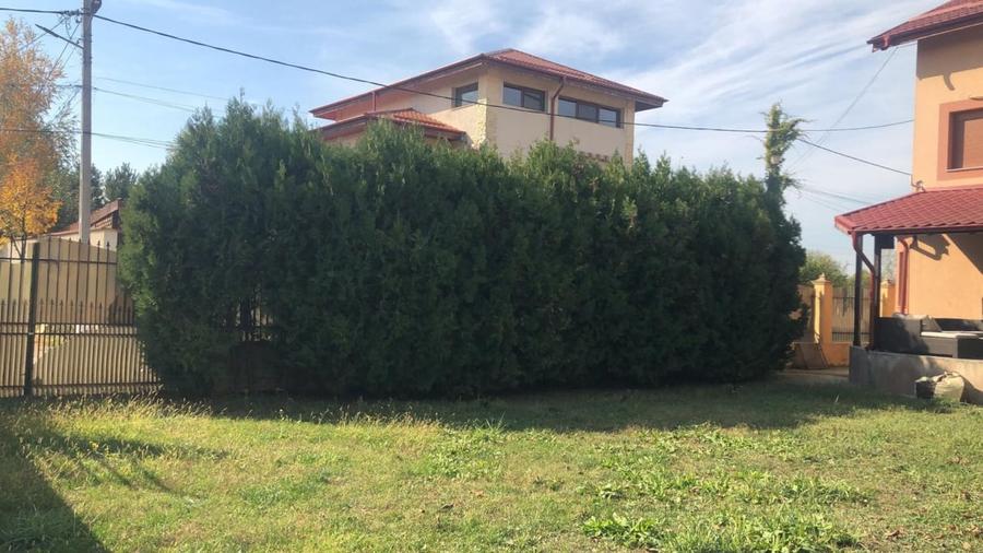 Casa de vanzare 4 dormitoare, living, 2 bai, bucatarie etc  Chiajna - 18