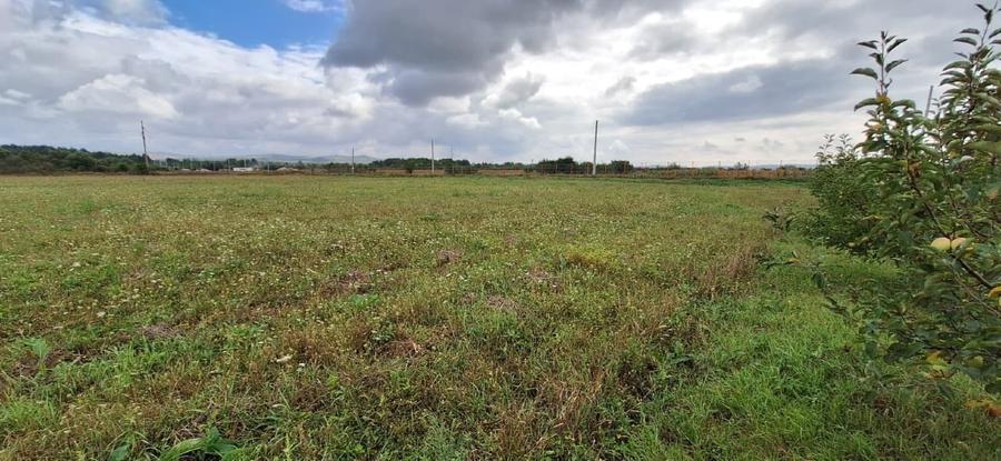 Vand teren intravilan Rascruci, com. Bontida - 2