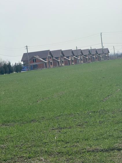 OCAZIE! TEREN IDEAL PENTRU BLOCURI CU REGIM MIC DE INALTIME/ VILE/DUPLEXURI - 5