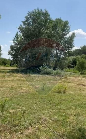 Teren-5000mp DN Ganeasa,sat Sindrilita,T9/Parcela 32/37 - 1