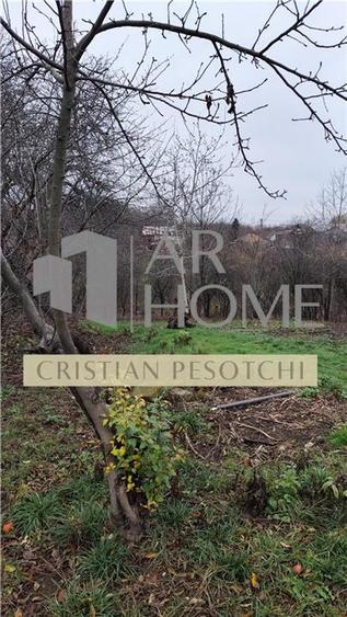 Casa Baicoi central  135 mp s.c. - 14