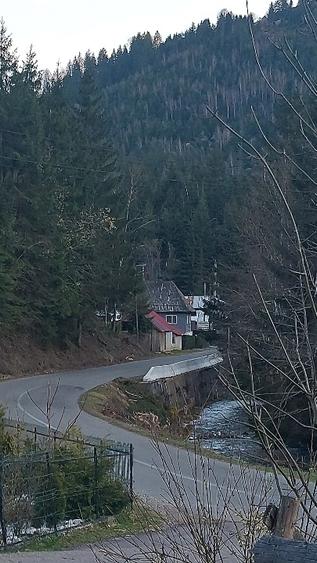 Teren intravilan de vânzare  - 7