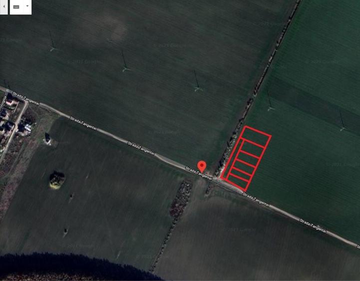 Teren de vanzare 5000 m Magurele ilfov variante - 3