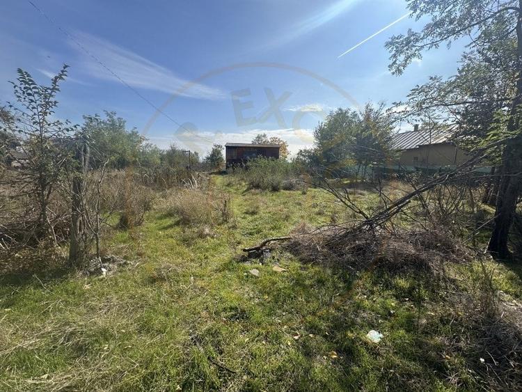 Teren 5216 mp la 2 pasi de autostrada A1 - com. Ratesti - 2