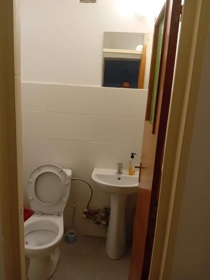 3 Camere | Parcul Circului | 4 Balcoane - 9