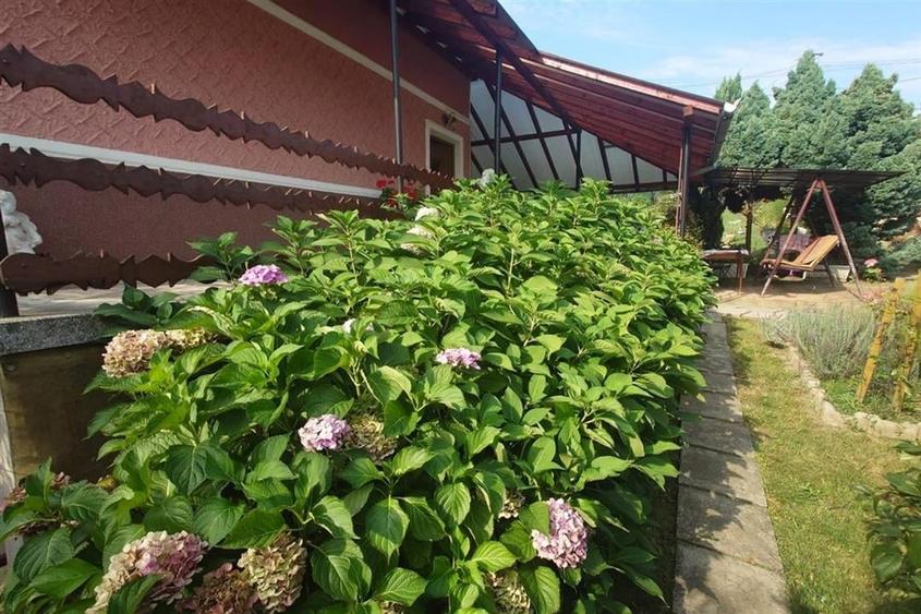 Casa cu Gradina, Parc si Priveliste in Brad, Jd. Hd - 10