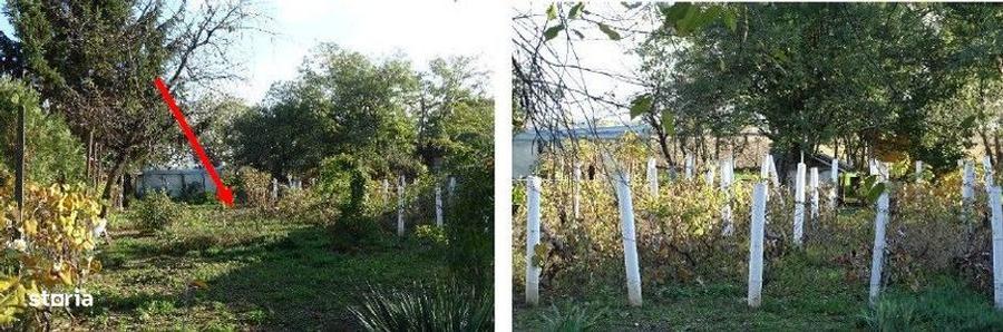 Teren intravilan Mosteni, cota parte 1/2 , ID: R2928668 - 1