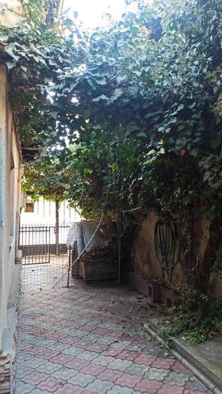 Drumul Sarii - Razoare - 18