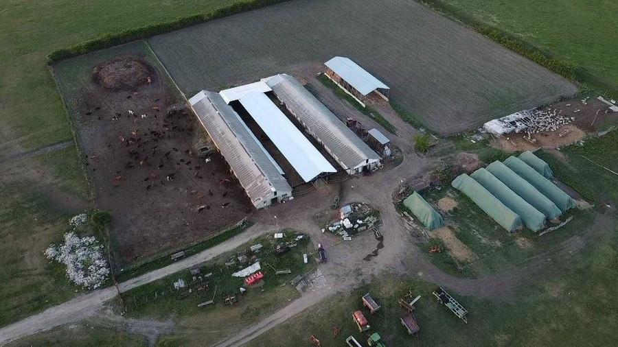 Teren intravilan, Ferma zootehnica sau hale - 1