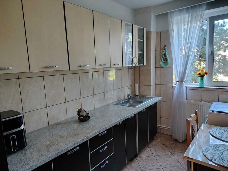 Ofer Spre Inchiriere Ap 2 cam Craiovei - 1