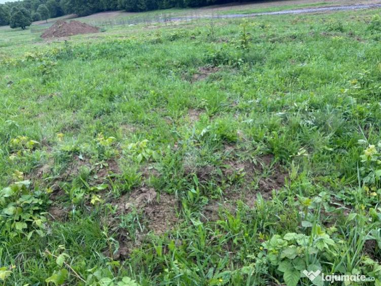 Teren de vanzare, zona linistita - 2