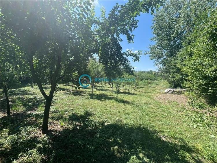 Royal Imobiliare-Vanzare Vila Zona Romanesti - 26