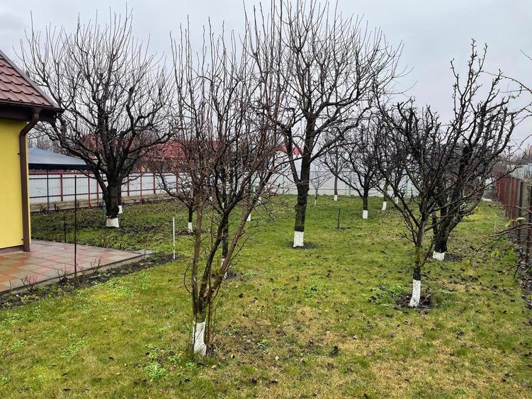 Casuta amenajata cu 800mp central Catamarasti Deal - 1