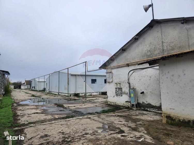 Hale depozitare sau productie Ciorogarla | Darvari 2.2 E/mp - 1