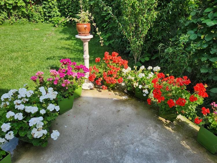 Casa de vanzare langa Seminarul Teologic - 5