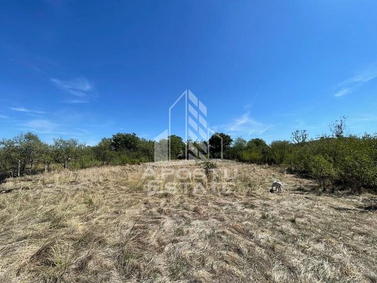 Casa cu teren 3407 mp, la asfalt, Seceani, 26 km de Timisoara. - 7