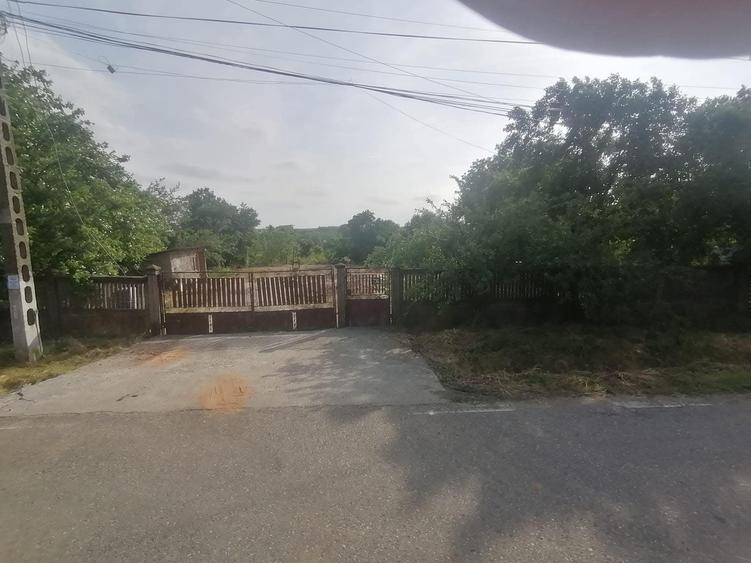 Vlad Tepes sat, jud.Giurgiu - 3