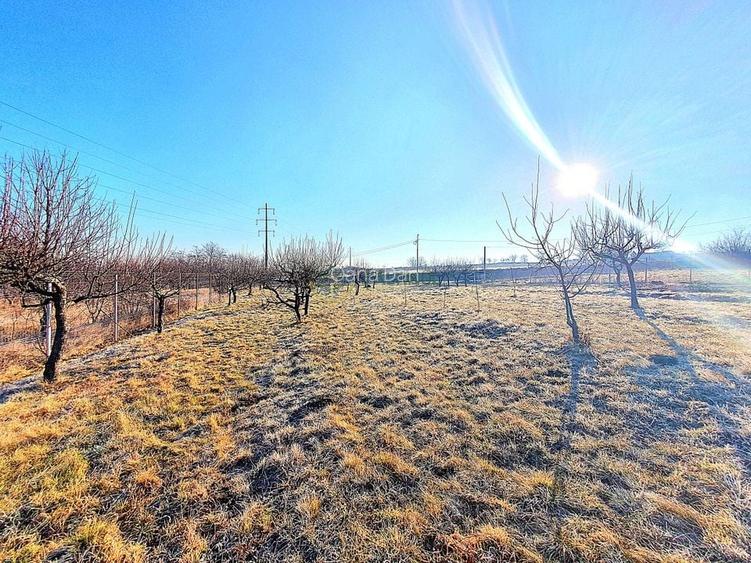 Descoperă Terenul Ideal: 390mp în Daia, Sibiu