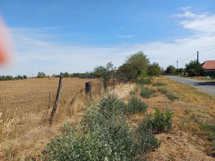 Teren de 15540 mp, în Livezile