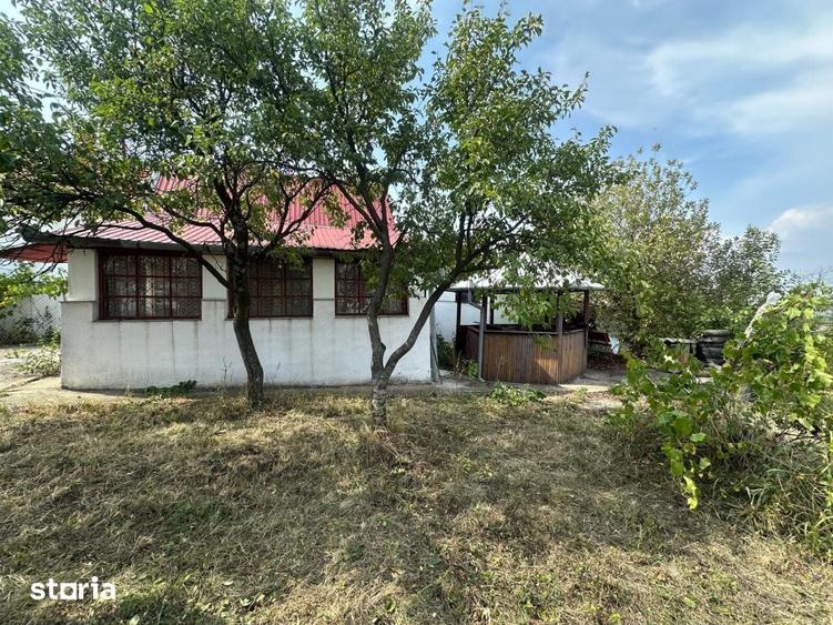 Teren de 1665 mp, în Podgoria