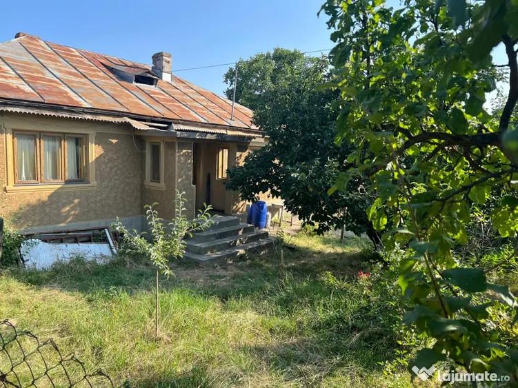 Casă cu 5 camere în Central