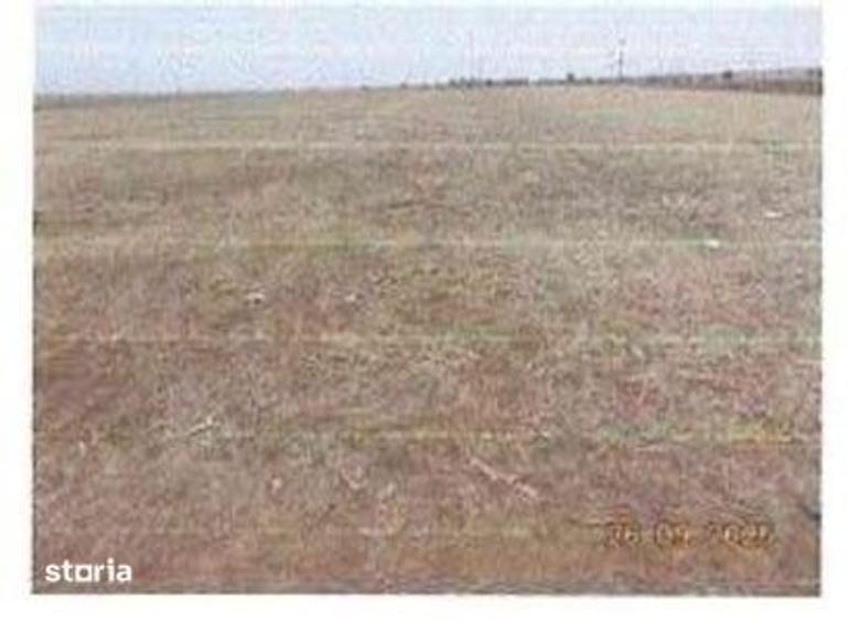 Teren de 5000 mp, în Verguleasa