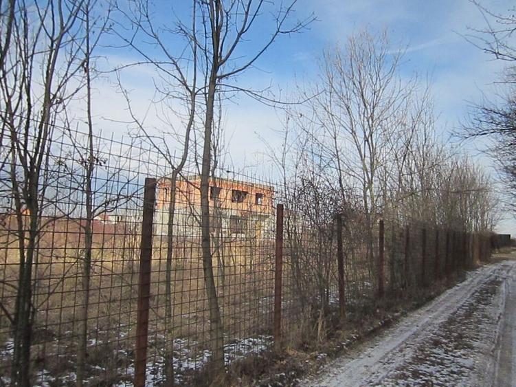 Domnesti-Teghes-Padure - 16