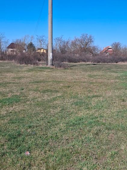 Teren Construcții extravilan de 2800 mp, în Gepiu