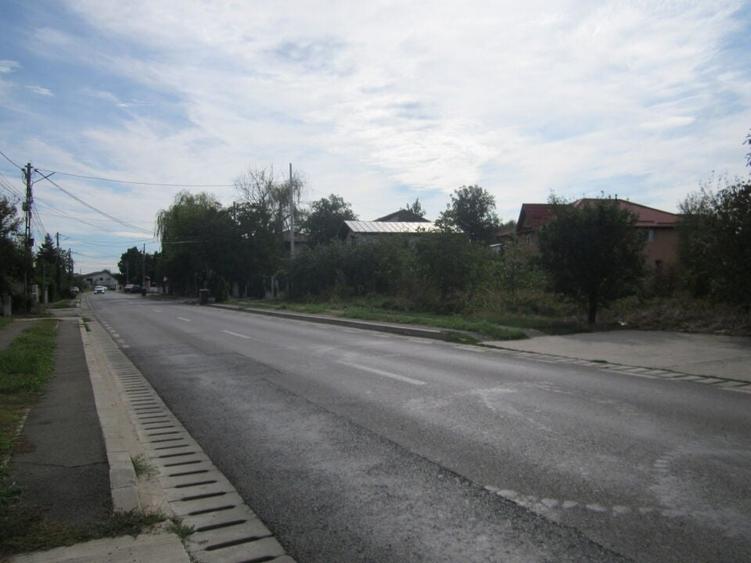 Domnesti Ciutaci-Zorelelor - 9