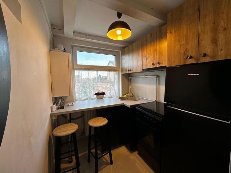 Garsonieră cu mezanin, vilă, lângă FSEGA și Iulius Mall - 1