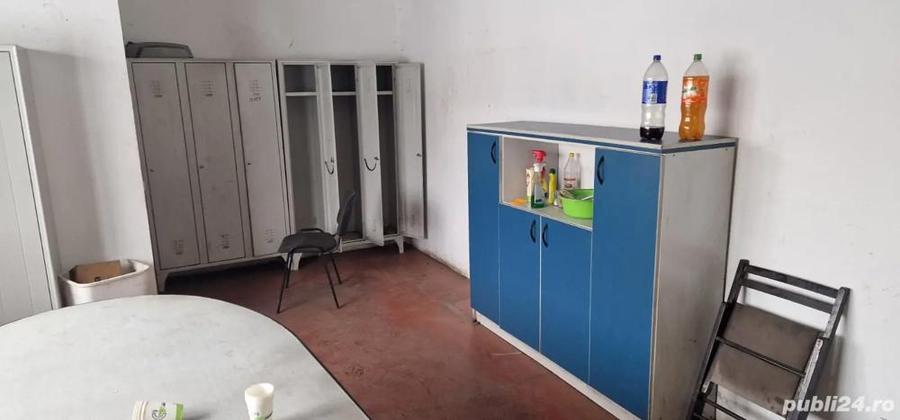 Hala service auto sau depozit de inchiriat - 3