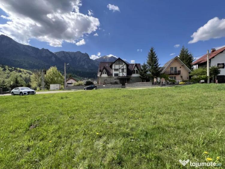 Teren 1407 mp Poiana Tapului. Vedere Bucegi .Tripla Deschide - 10