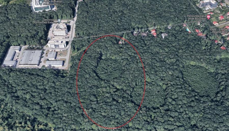 46644 mp teren in Padurea Baneasa proiect exclusivist - 3