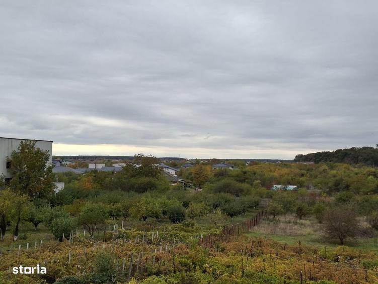 Teren Corbeanca Institutului 1064 mp / 2207 mp la 250 m de mall si DN1 - 9
