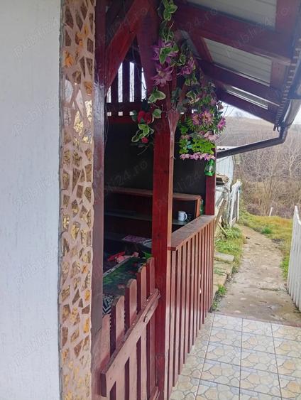 Casa vanzare la tara - 2
