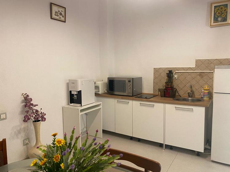 Vila individuala Victoriei pretabil birouri clinica restaurant rezidenta - 55