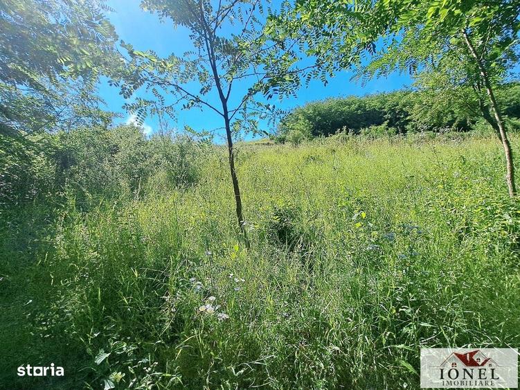 Teren intrvilan in Ciugud -Drambar - 4