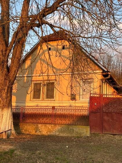 Vand casa si gradina - 3