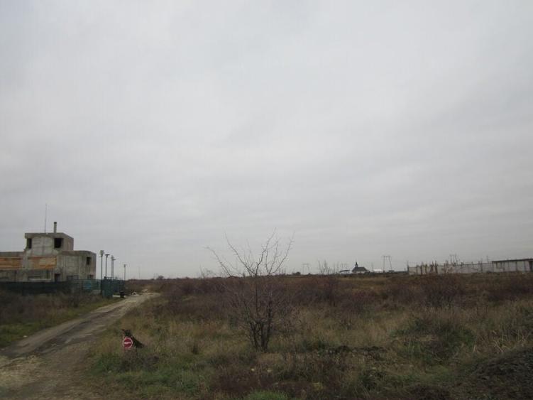 Domnesti-Fortului-Omnis - 9