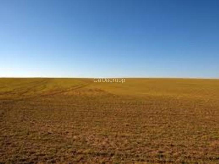 9,2 ha teren agricol la Poiana Mare judetul Dolj