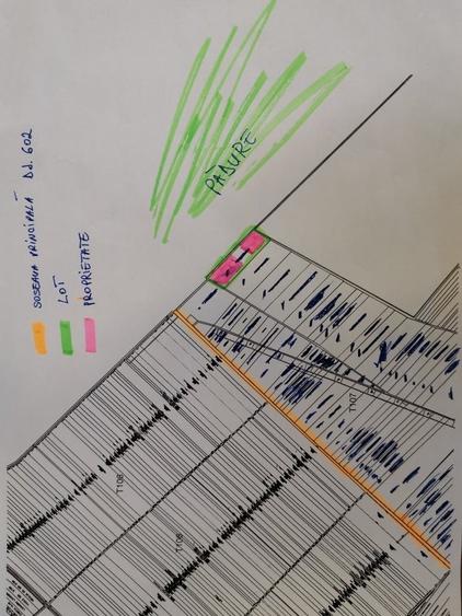 Teren langa padure - Sabareni - 7