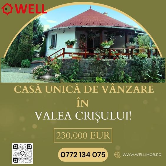 Casă unică de vânzare în Valea Crișului! - 1