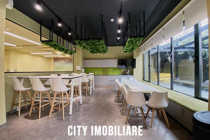 Spatiu comercial 250 mp + terasa 70 mp, Grigorescu, Parter, Ideal HoReCa   Showr - 5