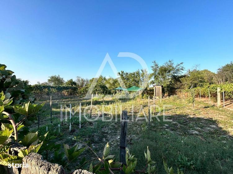 Casa de vanzare in Urechesti - 8