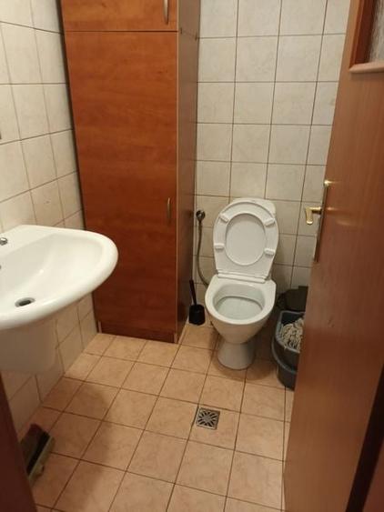 Vila la inchiriere in zona Unirii Mantuleasa - 8